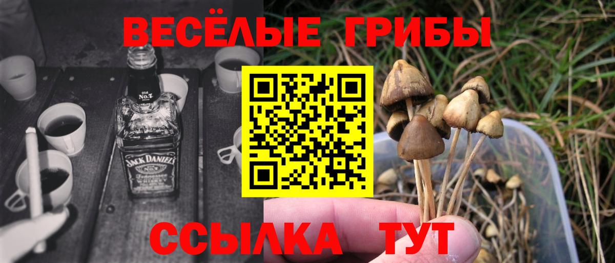 Псилоцибиновые грибы ЛСД  Вход с VPN  Галлюциногенные грибы Cubensis  Пермь 