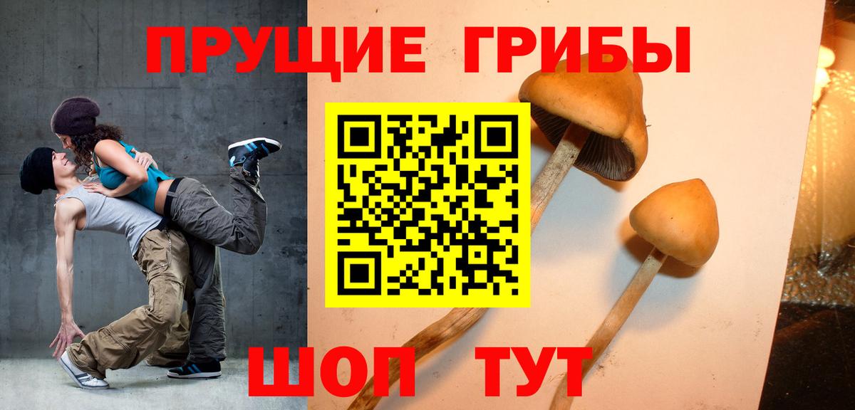 Псилоцибиновые грибы GOLDEN TEACHER Пермь